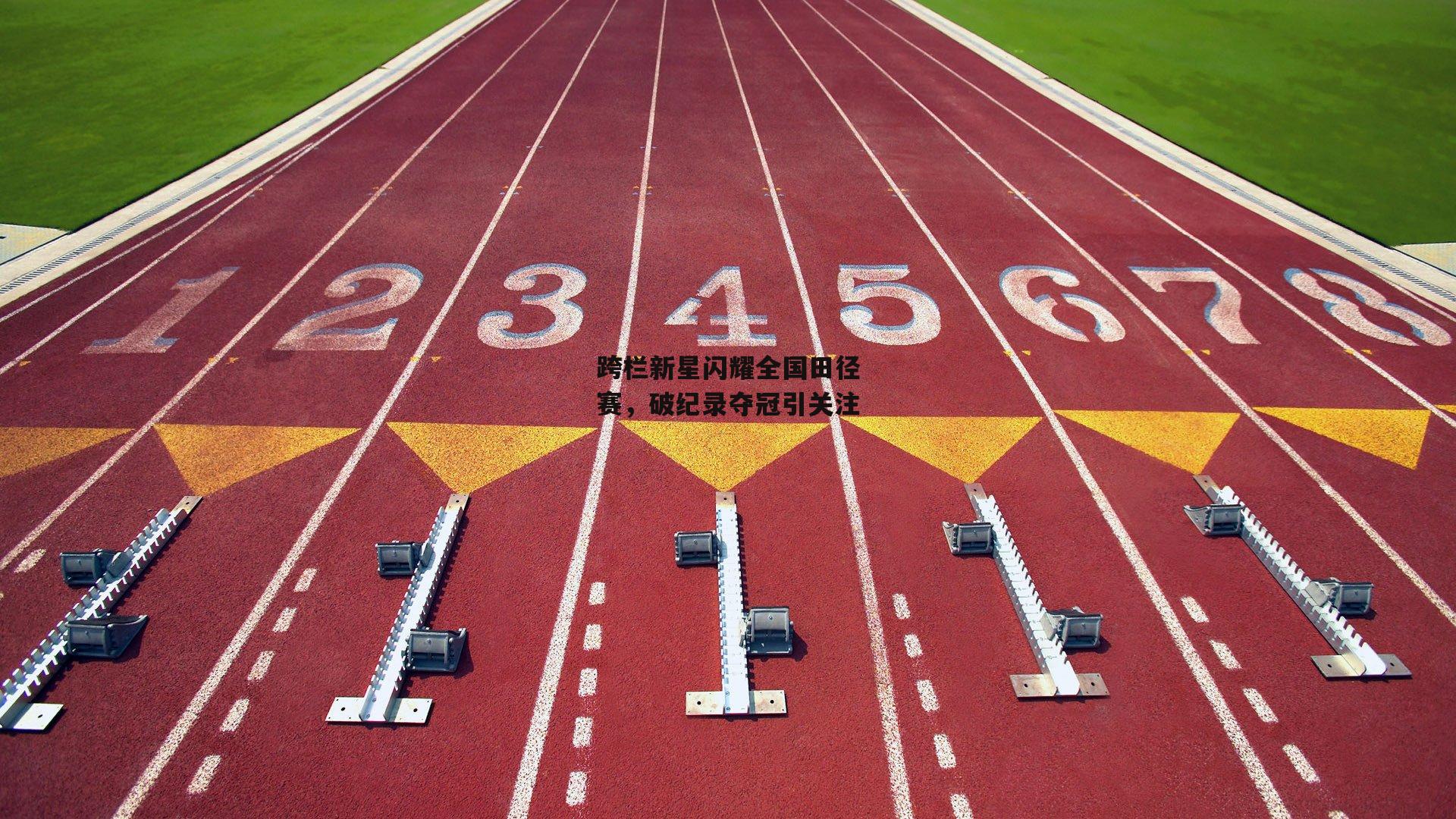 跨栏新星闪耀全国田径赛，破纪录夺冠引关注